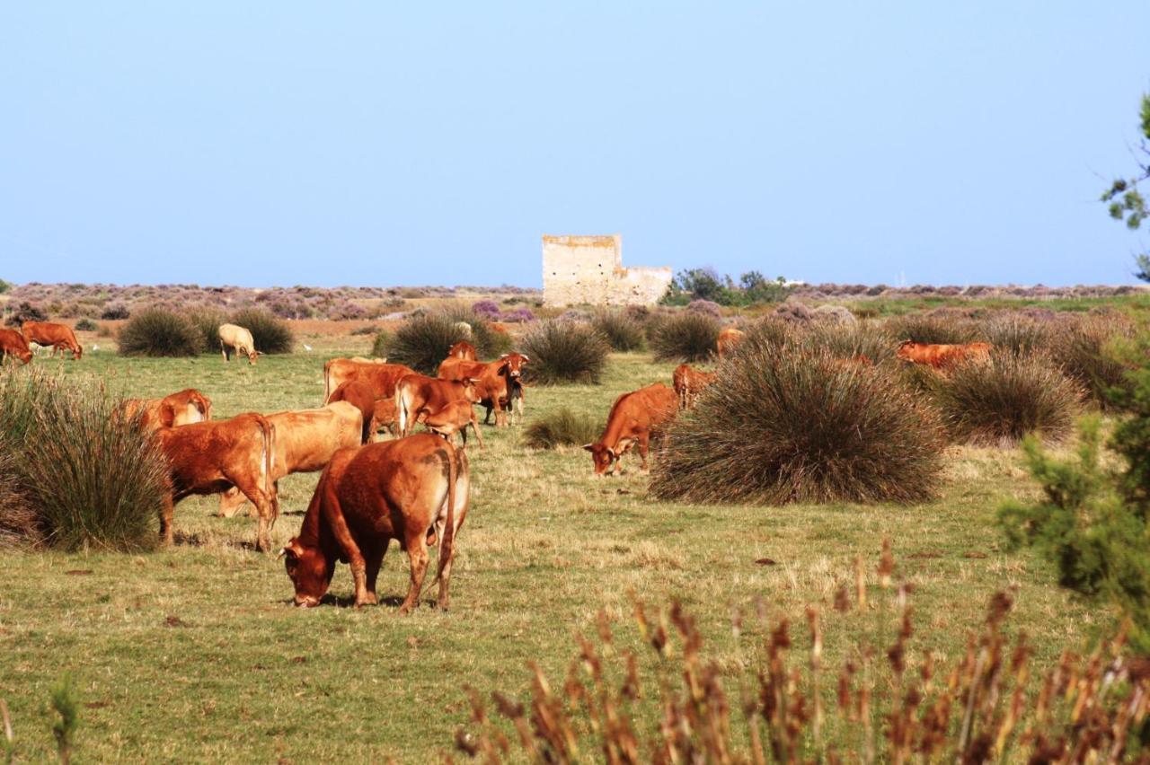 Herdade Dos Salgados Do Fialho Distrito de Distrito de Faro Exterior foto